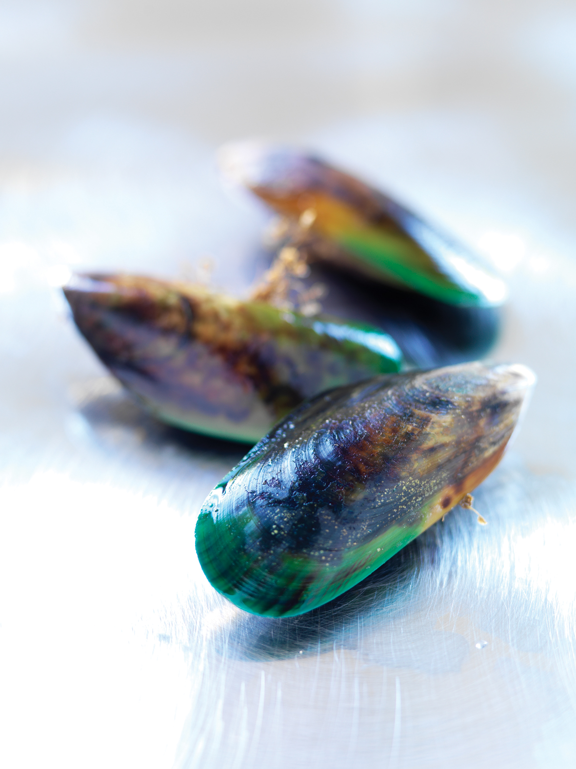 Image No 065 A close up photo of wild spirulina